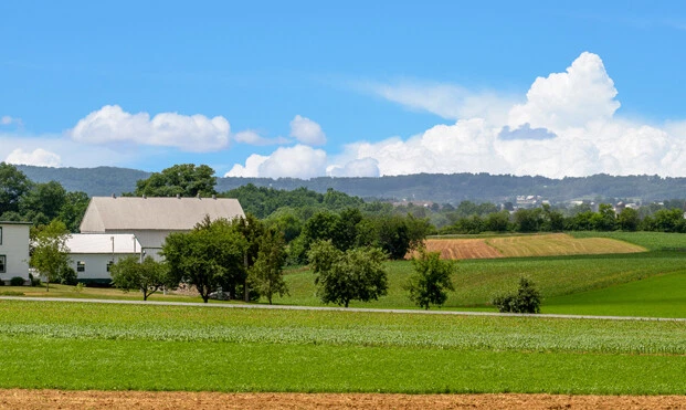 Train Junkies American Farm Model Railroad Backdrop - Image 4 of 4