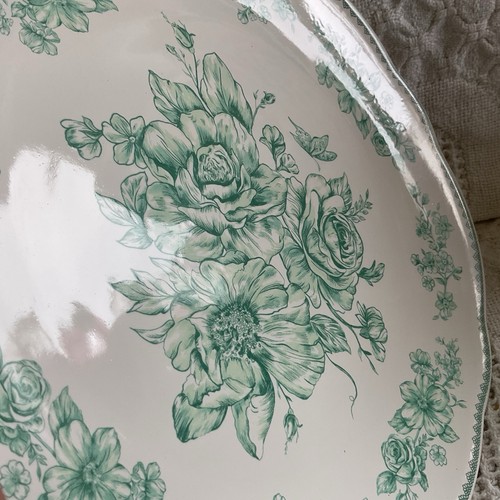 4-Pioneer Woman ~ AGATHA GREEN ~ 10.5" Stoneware Dinner Plates NEW - Picture 7 of 9