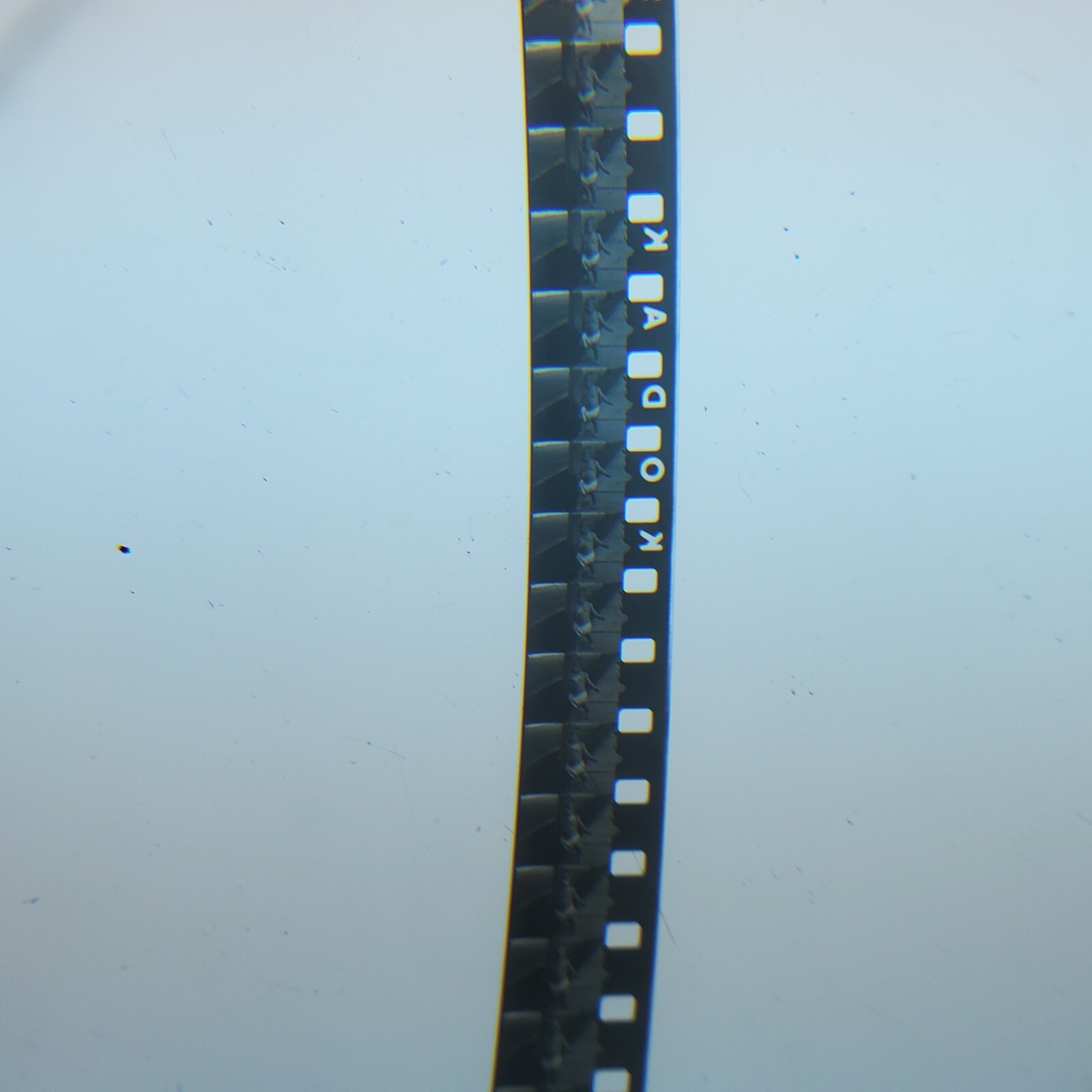 Picture 6 of 10