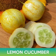 Lemon Cucumber Seeds