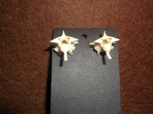 REAL HANDMADE PYTHON SNAKE VERTEBRAE   EARRINGS, Gold Color Ear Posts