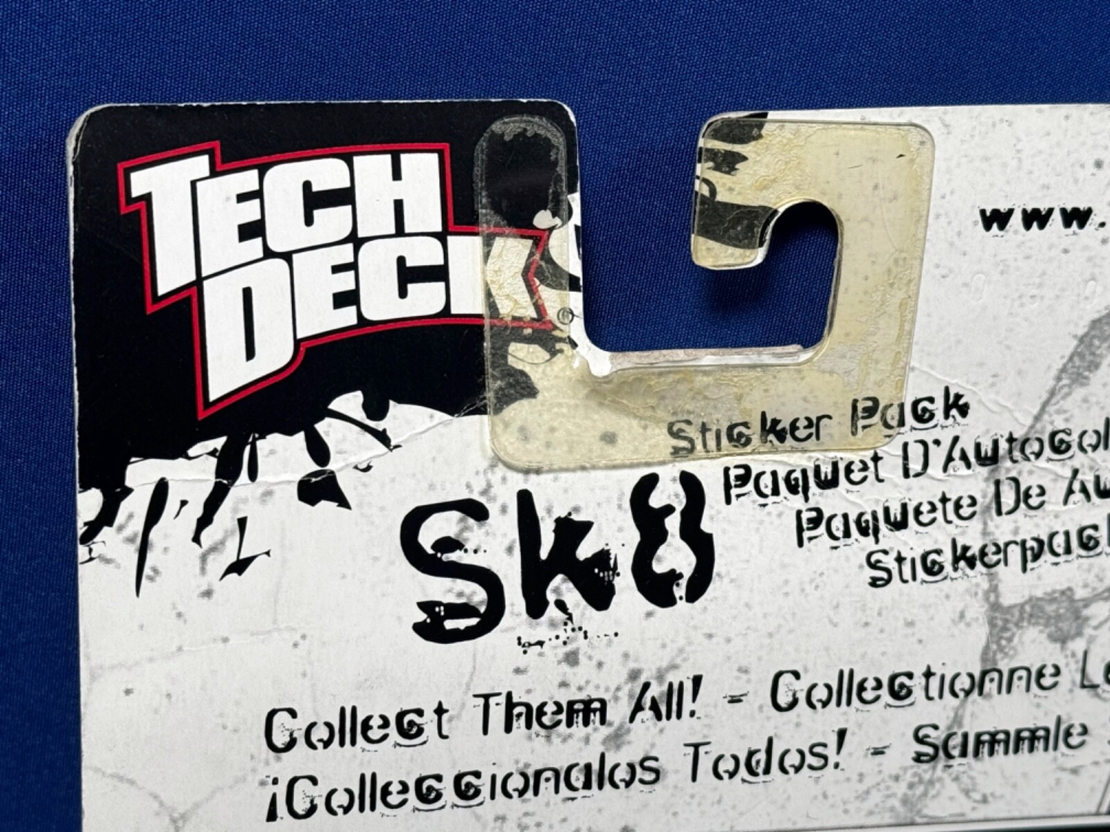Bild 12 von 12