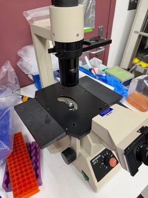 Olympus CK2 Inverted Microscope Phase Contrast with three lenses 4X/10X/20X.