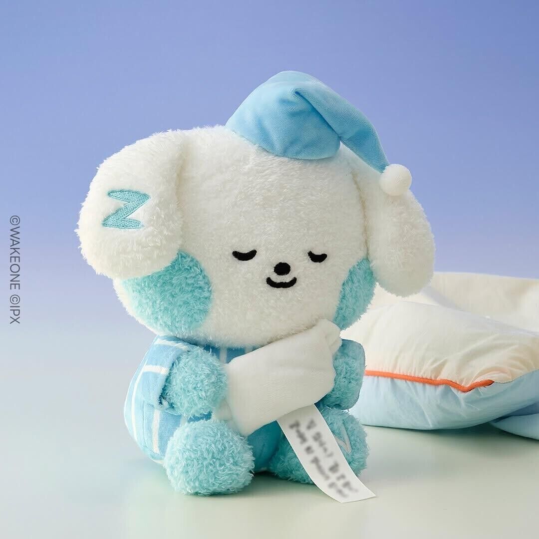 ZB1 Kim Gyu Vin Gyuvin Gyunini Line Friends Zeroni Sinsa ZB1 Kim Gyu Vin Gyuvin Gyunini Line Friends Zeroni Sinsa