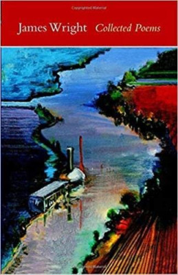 Collected Poems - Paperback NEW Wright, James 2007-06-01
