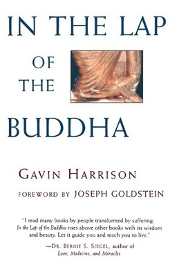 In the Lap of the Buddha by Harrison, Gavin 0877739951 FREE Shipping