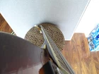 Picture 10 of 19