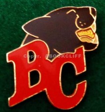 B.C. LIONS CFL Pin