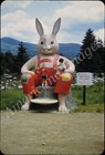 Bild 23 von 251