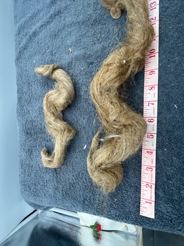 antique victorian blond long hair wig making piece doll wig making lot Human - Picture 6 of 20