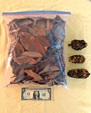 Magnolia Leaf Litter Vivariums Terrariums Isopods Dart Frog 2 Ga. BAG BONUS PODS