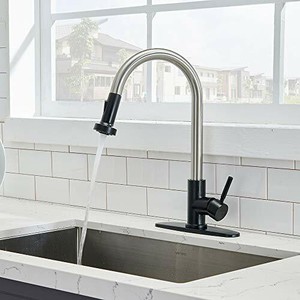 Brushed Nickel Kitchen Faucet With Pull Out Down Sprayer ...