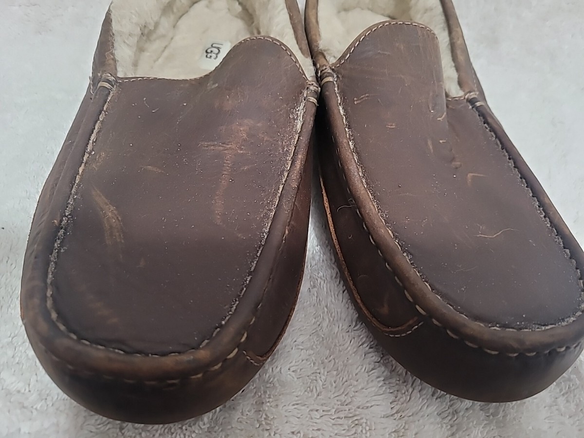 UGG Australia Ascot Men