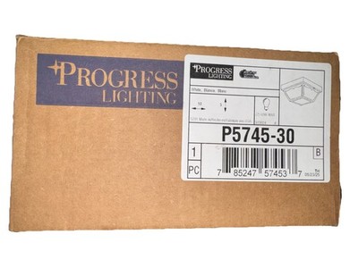 Progress Lighting 2 -Light 10.25-in White Indoor/Outdoor Flush Mount Light