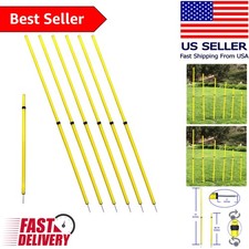6 Adjustable Agility Poles with Steel Spikes for Premier Sports Training