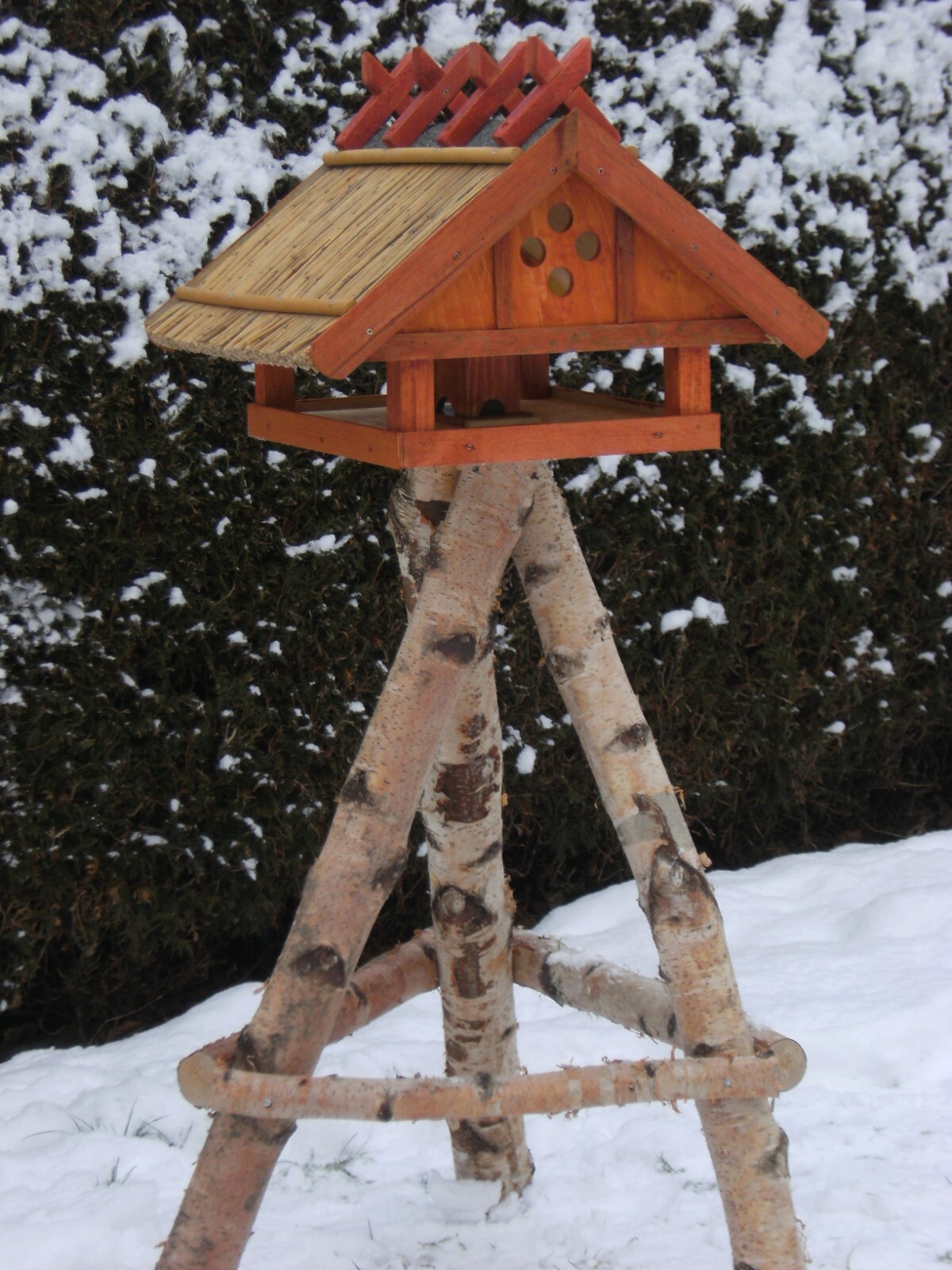 Bild 15 von 19