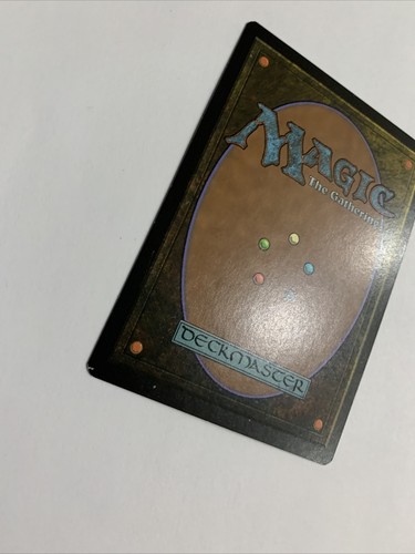 Forest FOIL - Time Spiral Basic Land MAGIC THE GATHERING CARD #298 LP NM - Picture 7 of 11