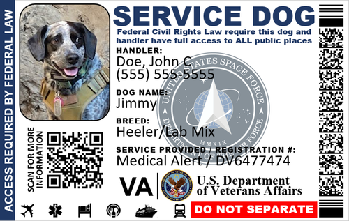 HOLOGRAPHIC SERVICE DOG ID VETERAN MILITARY DUAL SIDEDS PHYSICAL & DIGITAL - Picture 9 of 9
