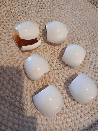 Shell Napkin Holders (6)