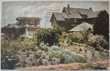 Vintage Postcard Back Yard Scene California Hand Colored AA75