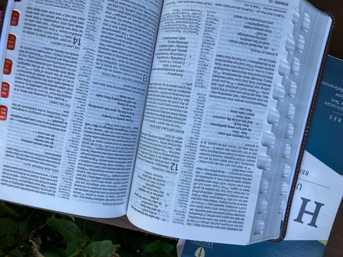 HCSB Ultra-Thin Reference Bible Pink Brown Index - Bild 10 von 12