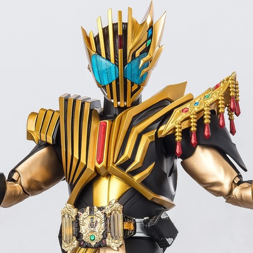 Premium Bandai S.H.Figuarts KAMEN RIDER LEGEND Sammlerstück Tamashii Nations Rare