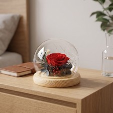 Preserved Rose In Glass Dome Dust Proof Elegant Preserved Flower Gift For Xmas