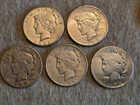 LOT OF 5 PEACE SILVER DOLLARS – CULL / DAMAGED (90% SILVER)