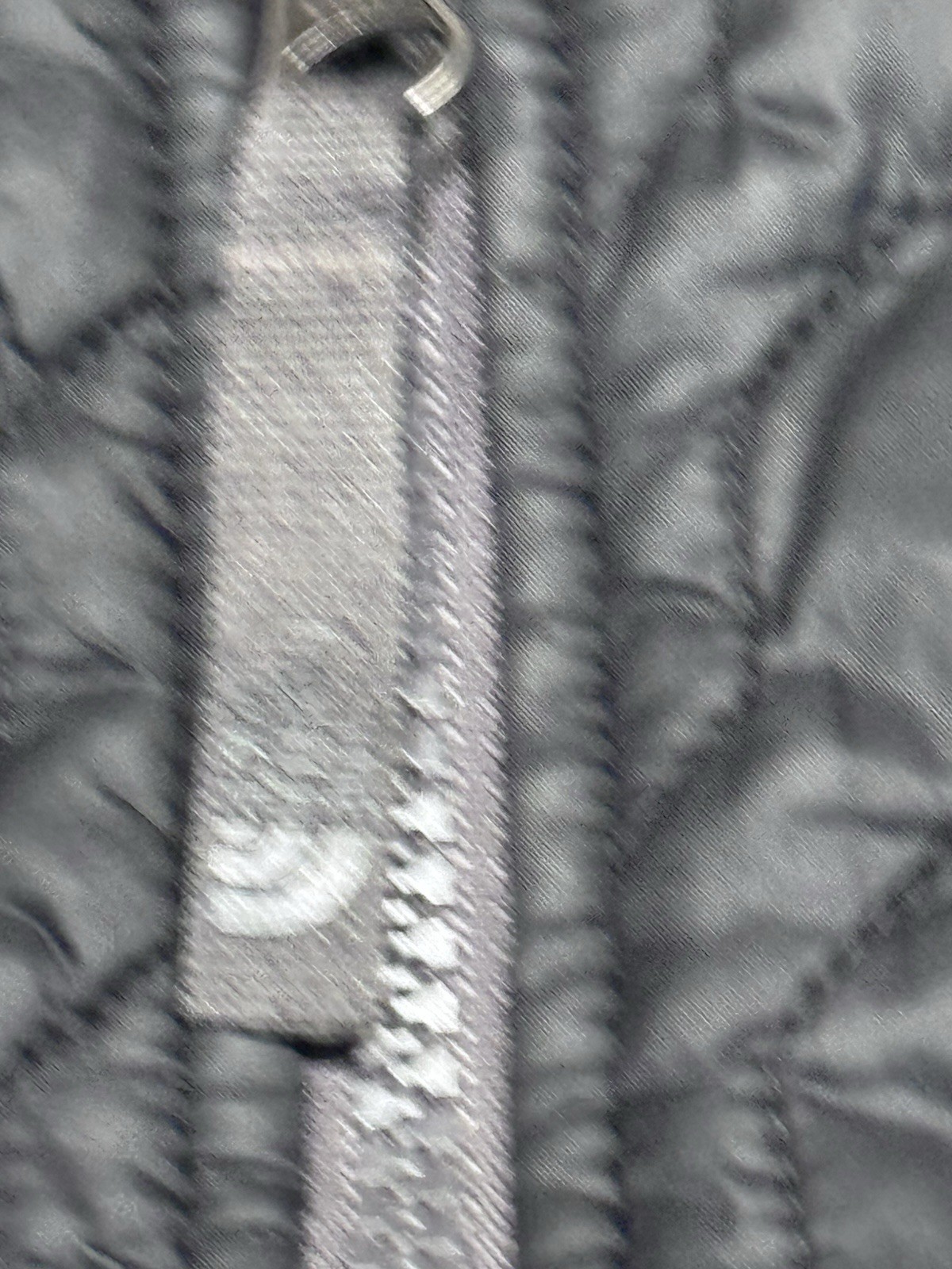 Picture 8 of 8