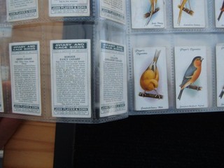 ONE COMPLETE SET CIGARETTE CARDS PLAYERS AVIARY AND CAGE BIRDS
