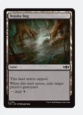 Bojuka Bog | MTG TDC Tarkir Dragonstorm | Black Land Exile Graveyard | NEW NM