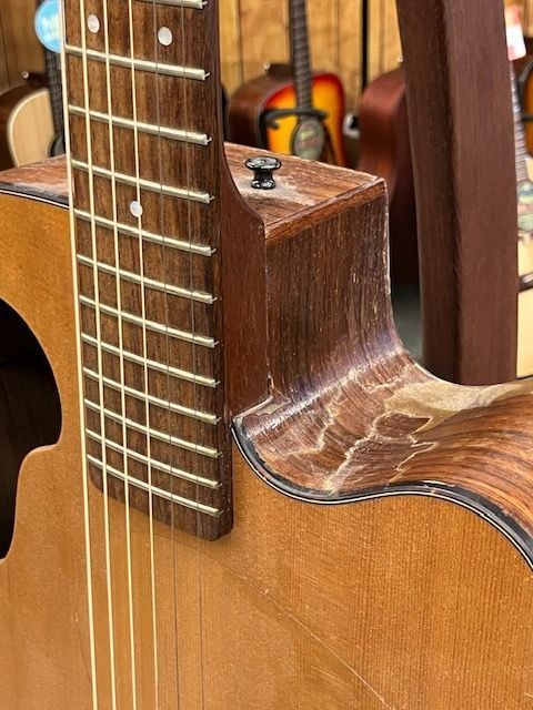 ギター TACOMA DR8C TACOMA DR8C|ドルフィンギターズ