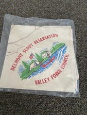 Delmont Boy Scout Neckerchief 