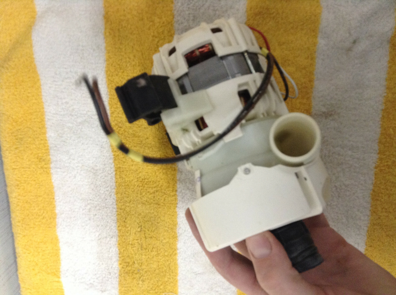 5304514365 Frigidaire Dishwasher Circulation Pump free shipping eBay