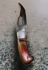 Vintage hunting knife fixed blade Colorful Wood Handle 8" overall Clean