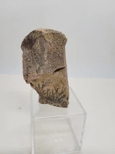 Mount Sinai Stones Burning Bush Jabal Mosa Mountain Egypt Variety Of Sizes