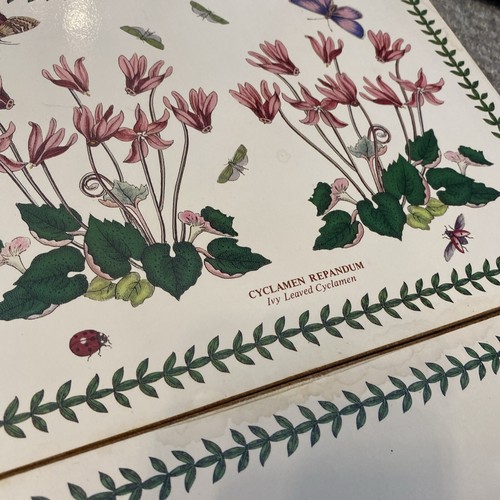 Portmeirion Botanic Garden Rectangle Placemats Set of 6 Cork Backed