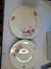 6 PIATTI DA DOLCE PIÙ PIATTO GRANDE CERAMICA BAVARIA GERMANY