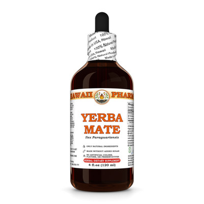 Yerba Mate (Ilex Paraguariensis) Dried Leaf Liquid Herbal Extract