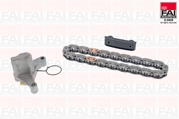 Steuerkettensatz FüR CitroËN C4 C5 C8 Jumpy 2.0 2.2 Hdi Bluehdi Diesel DW10 DW12-image