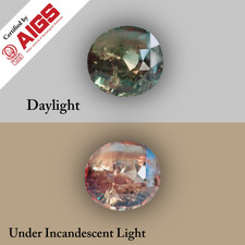  on The Hot Collector