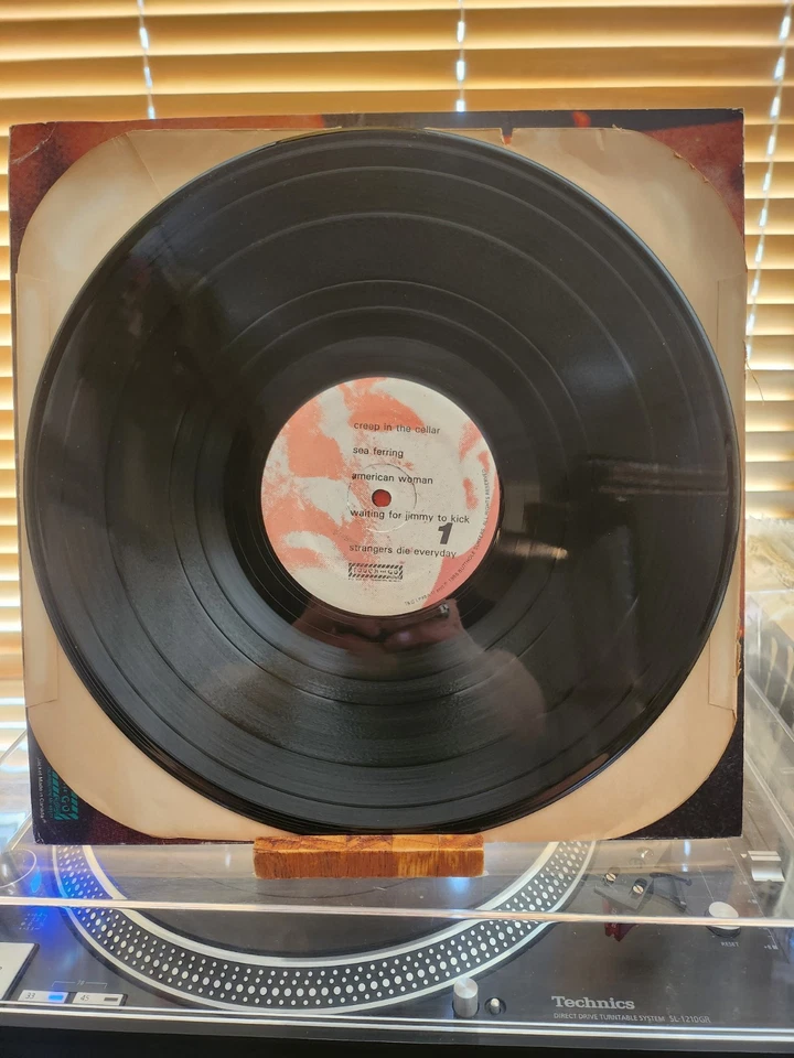 Butthole Surfers, Rembrandt Pussyhorse, 1986 1st Touch & GO,  VG+/VG+ - Image 3 of 4