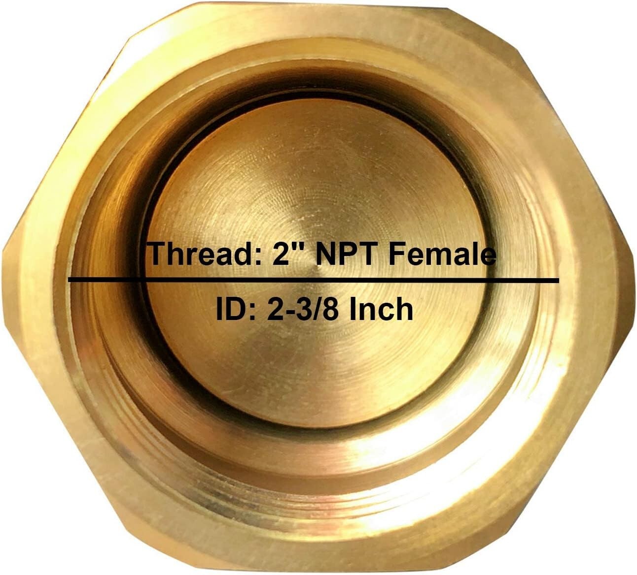 Brass Foot Valve, 2 inch NPT Spring Mesh Check Valve Female Connection