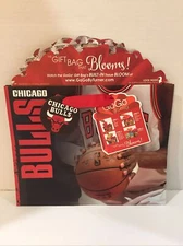 New Turner Licensing Chicago Bulls (Med) Gogo Gift Bag NBA