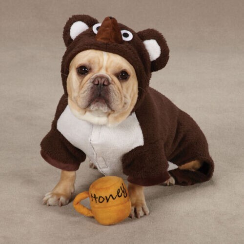 Zack & Zoey Halloween T-Shirt Für Hunde – „Halloween To DOO Liste“ Mit Leuchtaufdruck, Größe XS