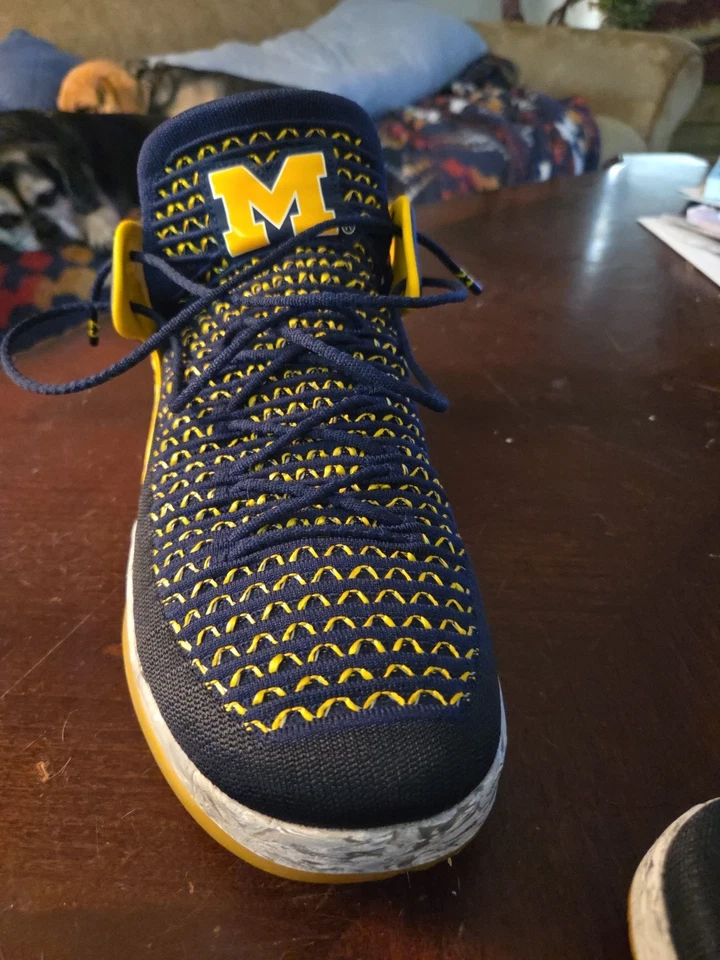 Talla 12.5 - Air Jordan 32 PF Low Michigan Wolverines Foto 3 de 4