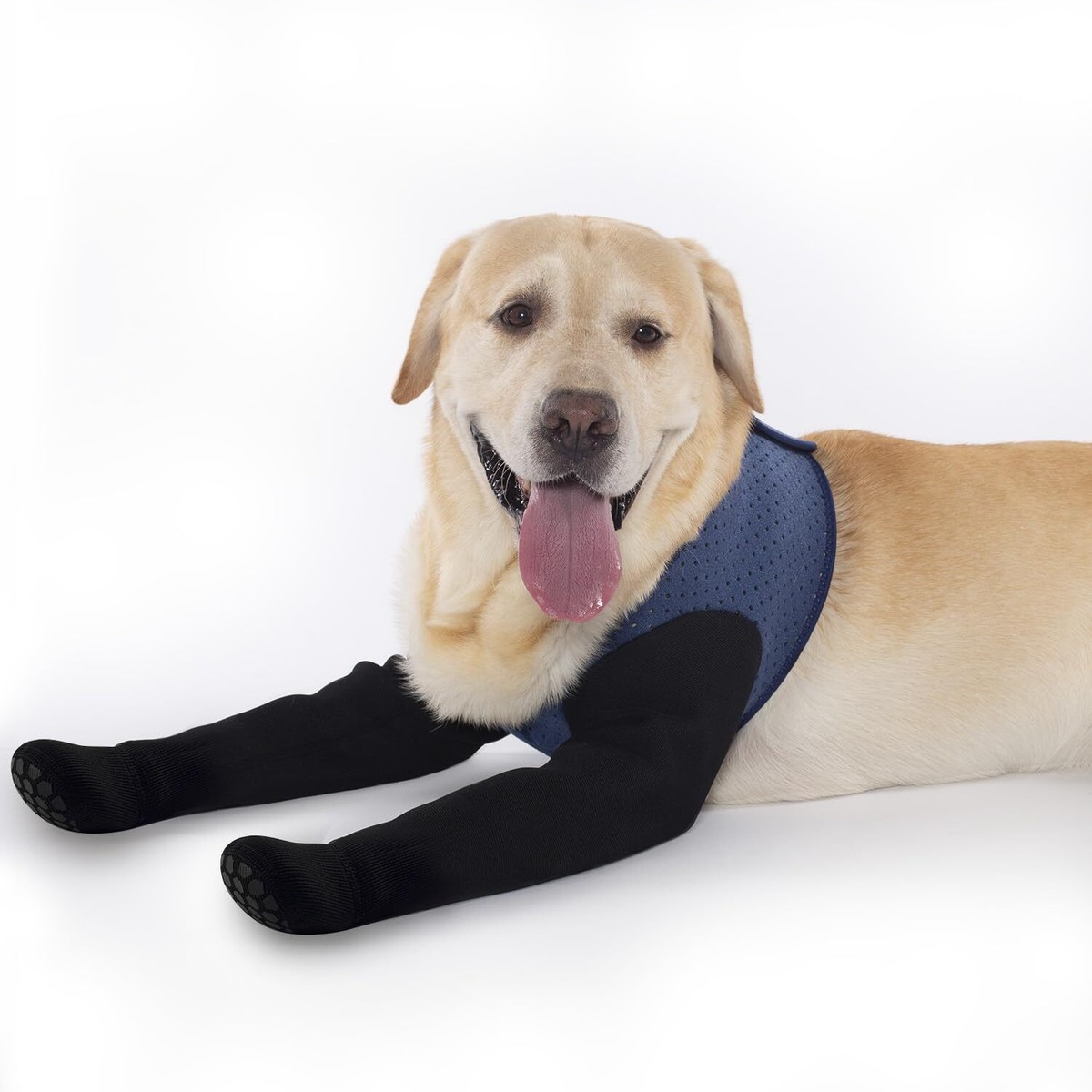 Dog Socks to Prevent Licking Paws Dog Healing Bootss Paw