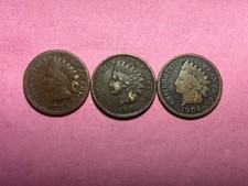  on The Hot Collector