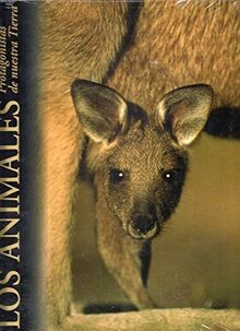 Los animales, protagonistas de nuestra tierra: Los ... | Buch | Zustand sehr gut