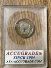 1913 P T2 Buffalo Nickel With Full Horn still new and neat.